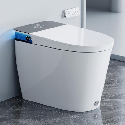 Horow Smart Toilet
