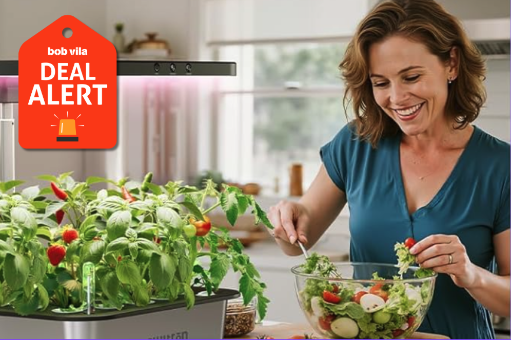Person making salad with food she grew in hydroponic garden