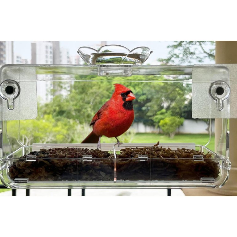 Last-Minute Clearance Deals for Mom Window Bird Feeder with Hooks