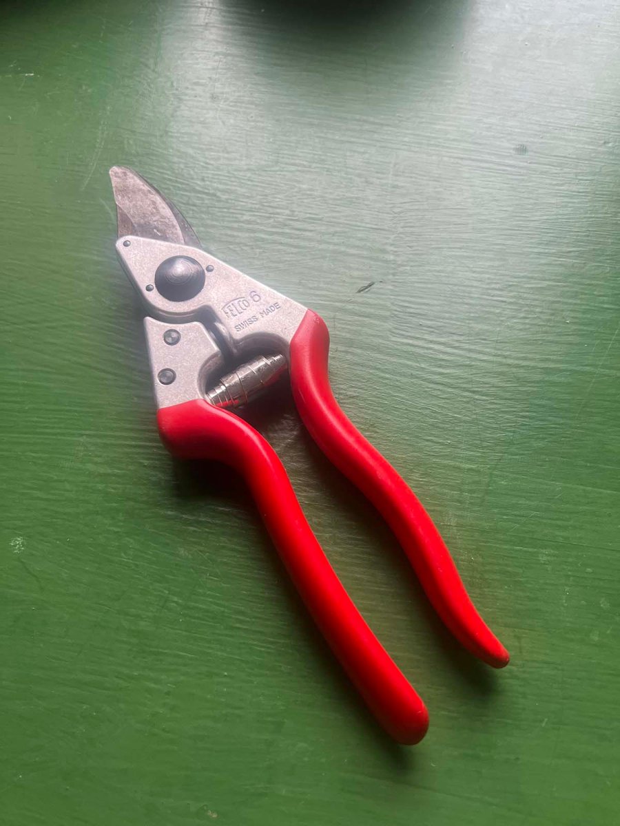 My trusty Felco 6