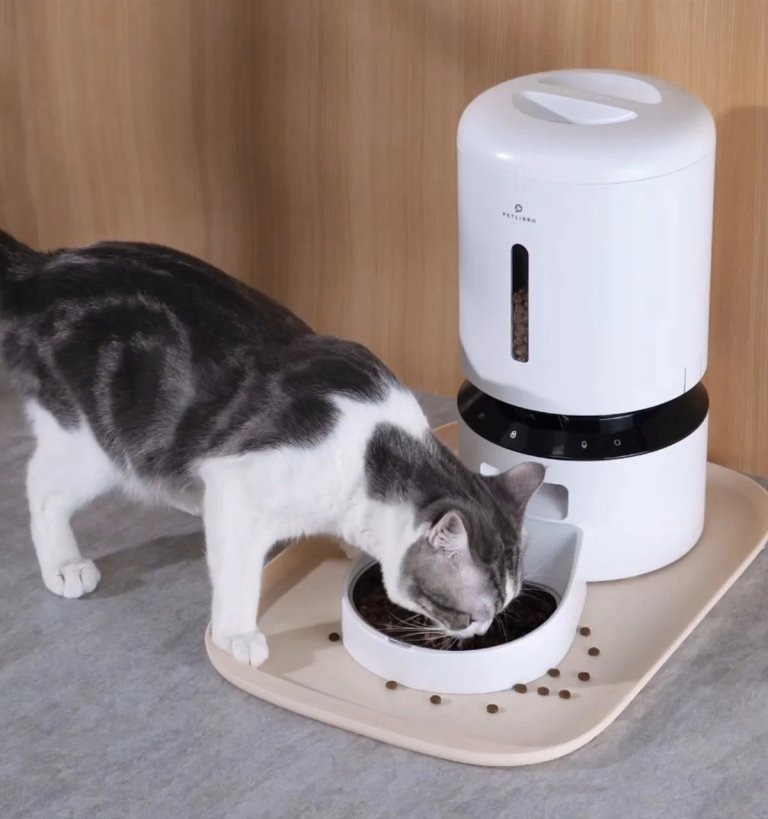 Petlibro Cove Placemat