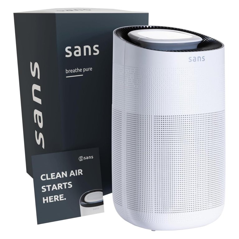 The Best Home Essentials Sans Air Purifier