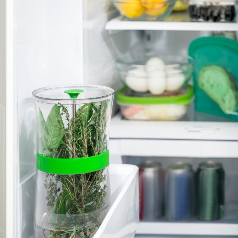 An herb keeper in a refrigerator.