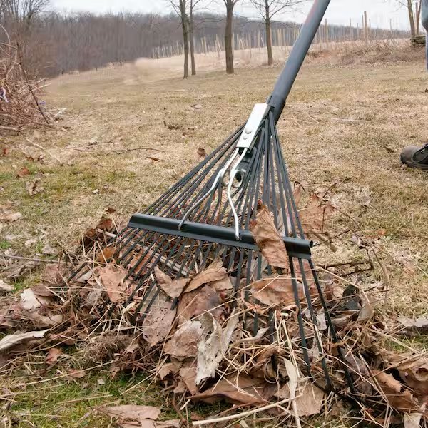 A steel-tine rake moving leaves on a lawn.