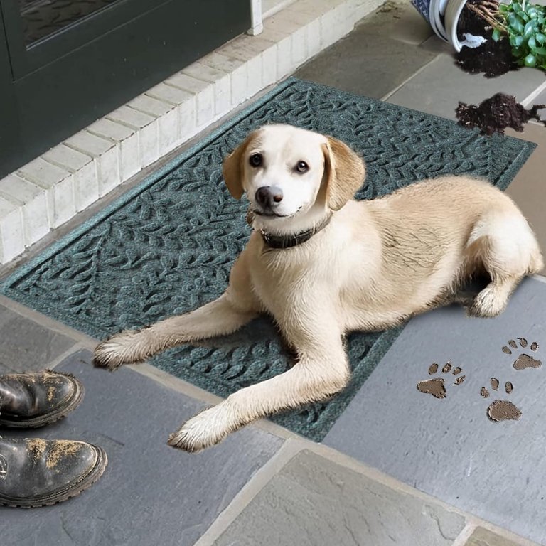 Labrador on a teal Water Hog door mat outside a front door.