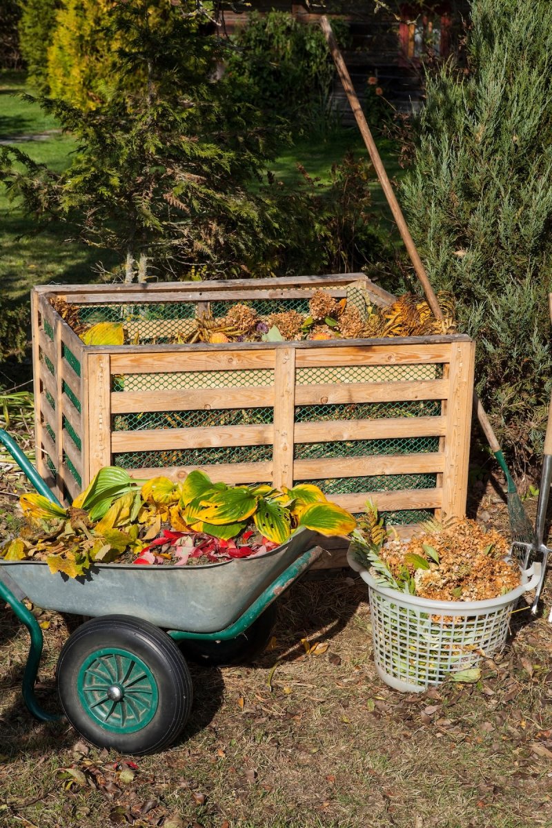 A backyard compost pile with organic material in wheelbarrow and buckets.