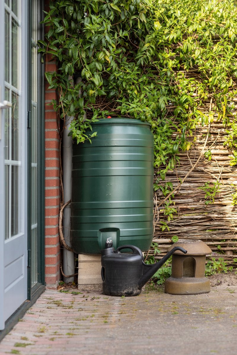 A green rain barrel outside of a home in a backyard for watering a garden.