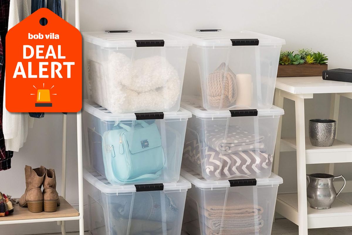 Amazon is Slashing Prices on Organization Products for the New Year