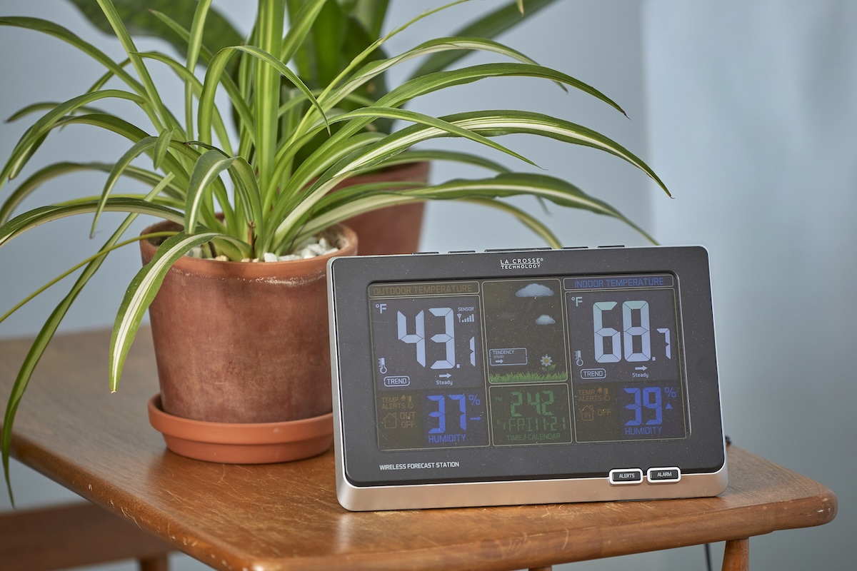 Indoor weather station shows temperature on a small table next to a couple of houseplants.