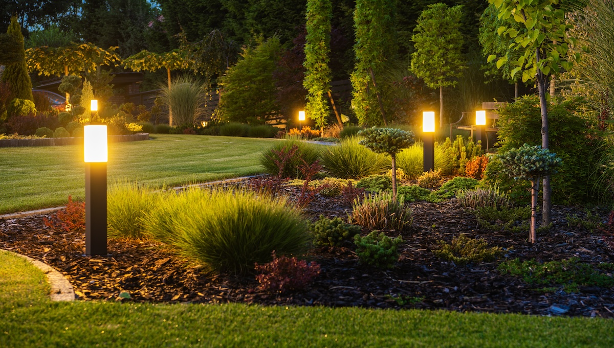 A garden bed at dusk is lit with solar-powered landscape lighting.