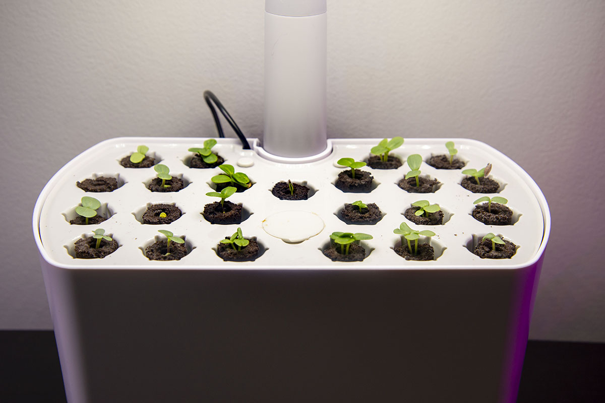 AeroGarden Starting System Review