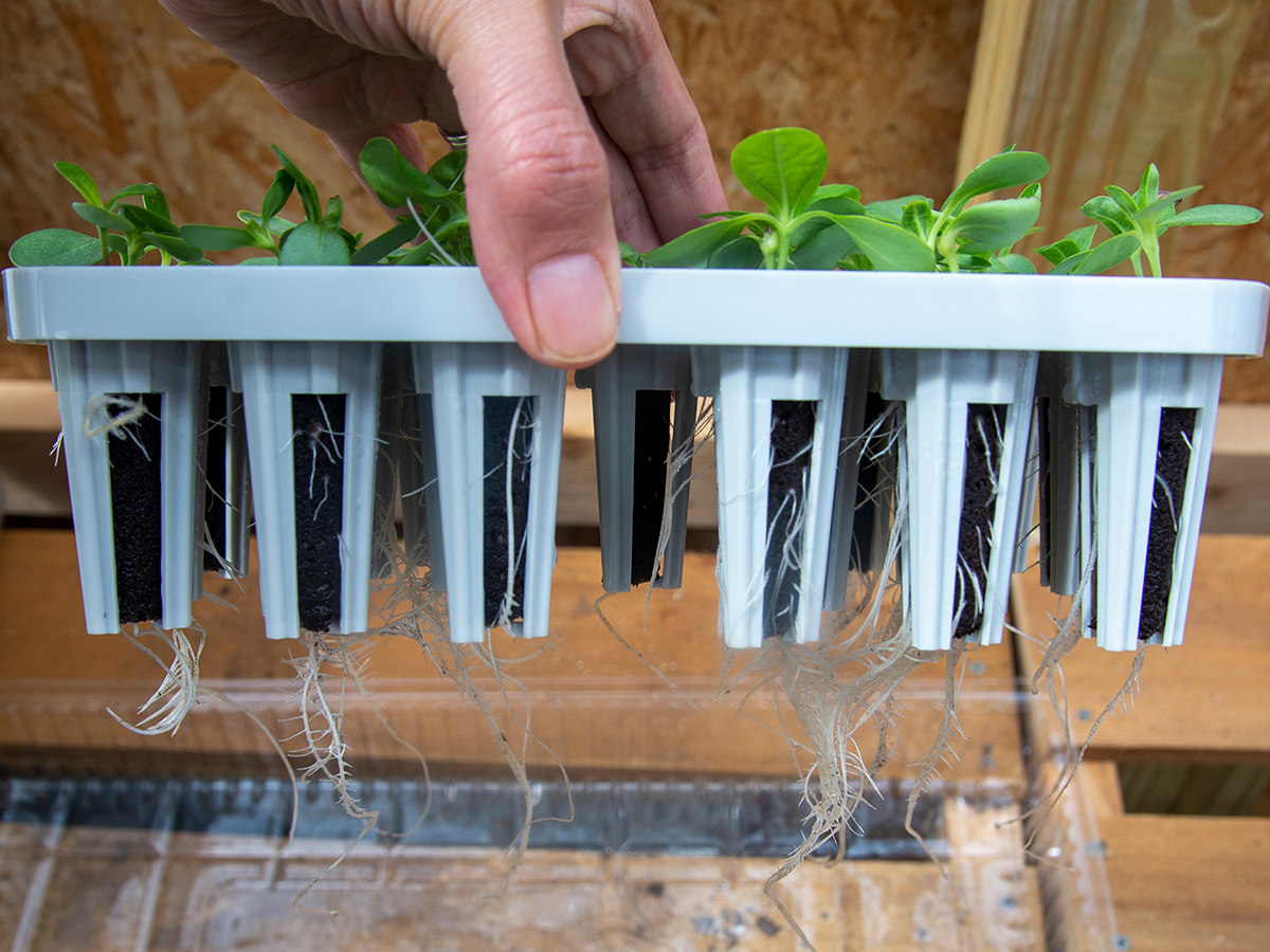 AeroGarden Starting System Review