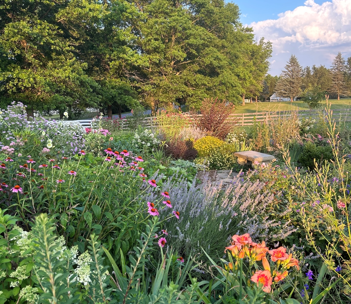 Lush cottage flower garden among trees.