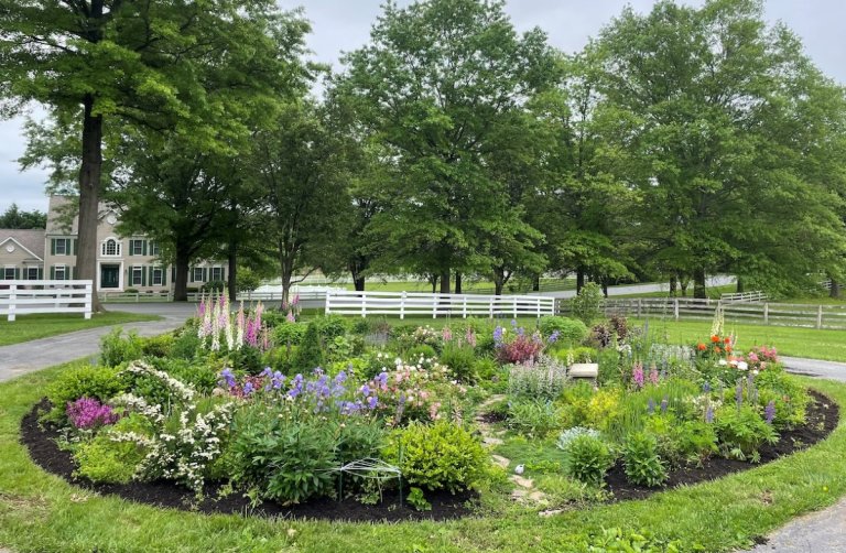 Cottage garden with various flowers in a circular shape.