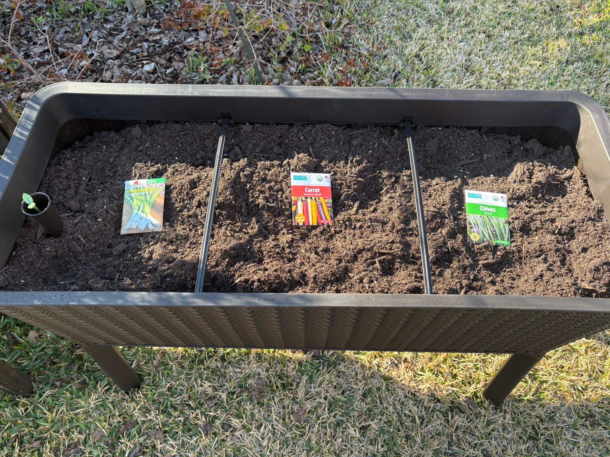 Keter raised garden bed with soil