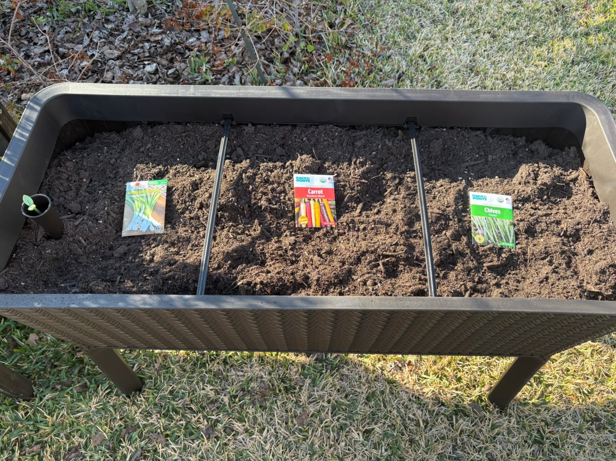 Keter raised garden bed with soil