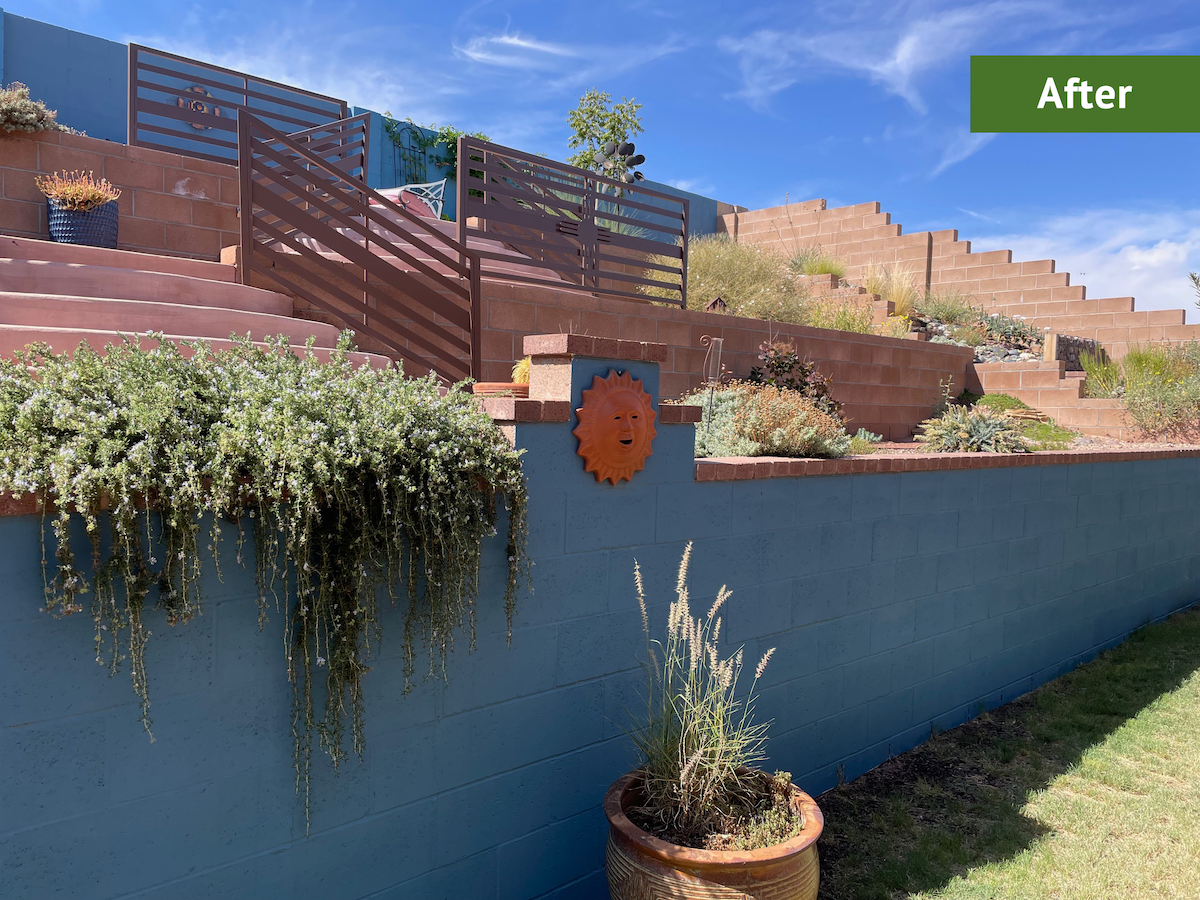 A blue painted block fence in a desert backyard landscape.