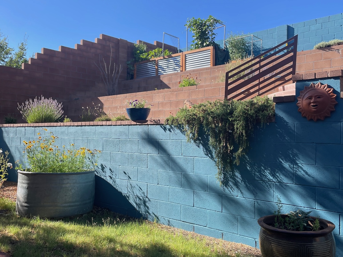 A blue painted block fence in a backyard.