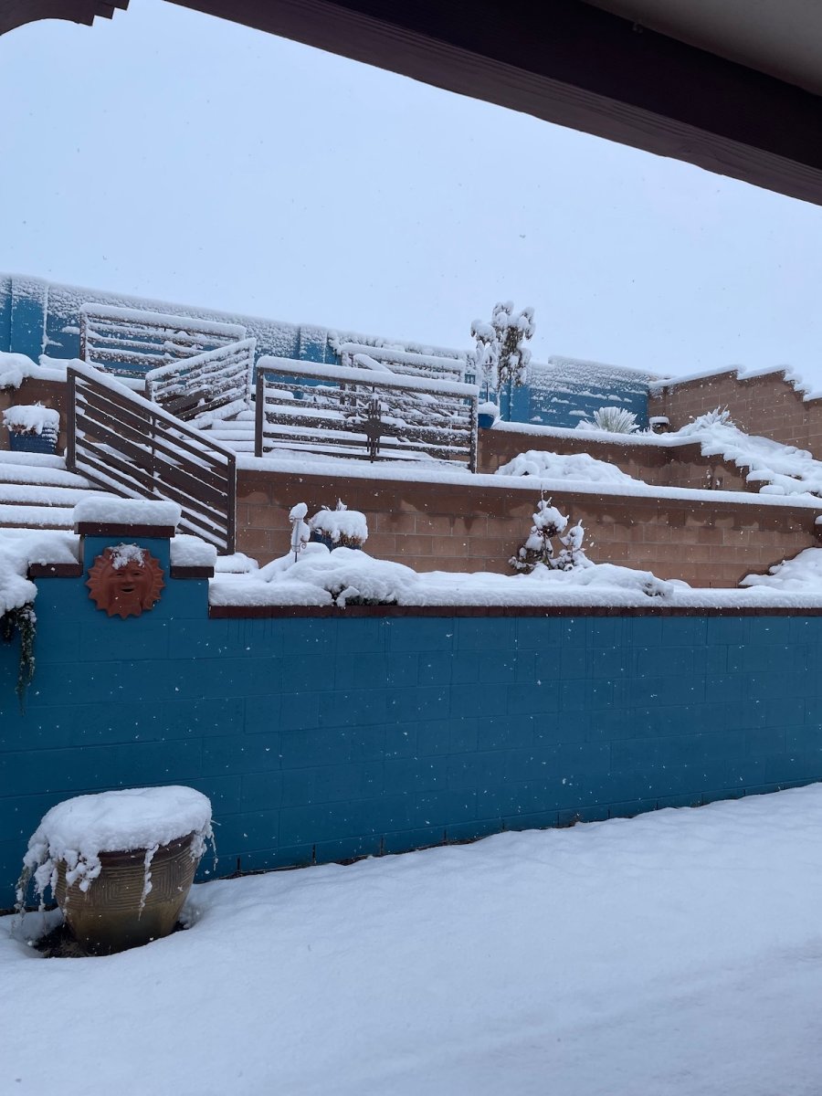 A blue block fence in a winter landscape.