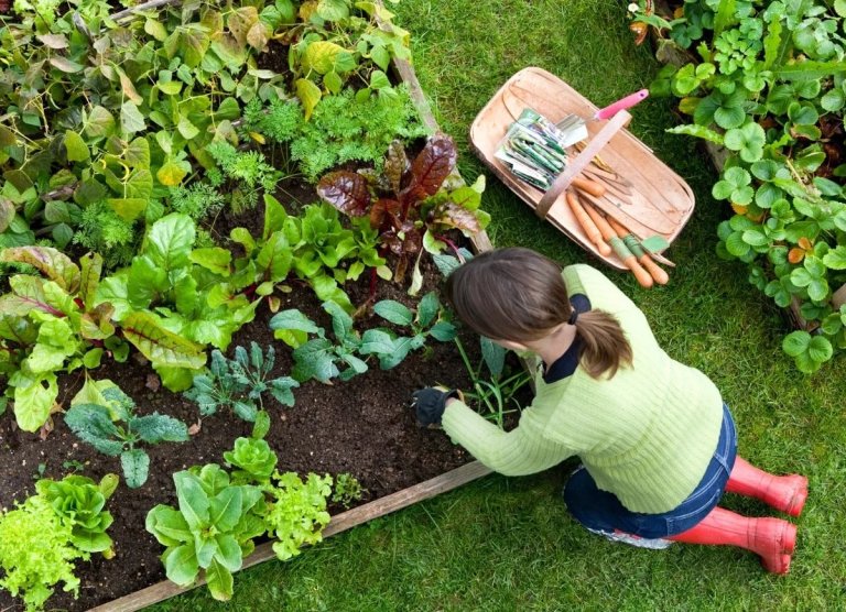A woman gardening outside.
