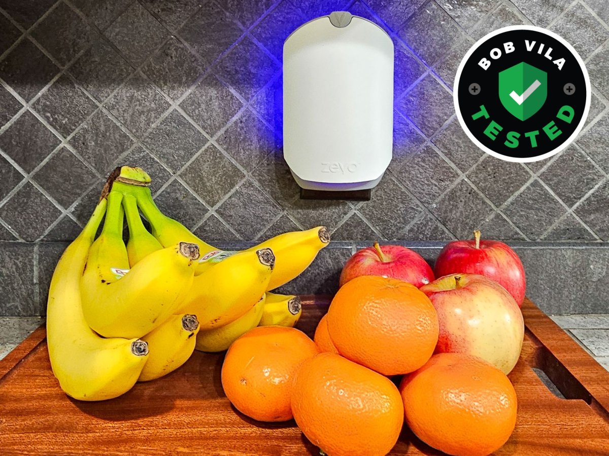 Zevo Flying Insect Trap Review