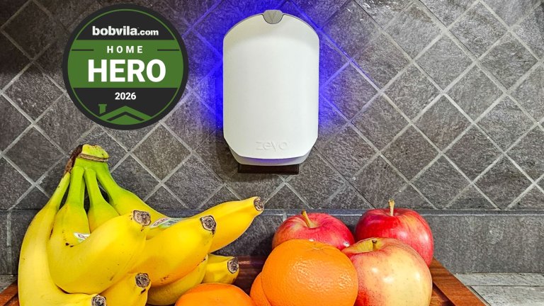 Zevo Flying Insect Trap Review