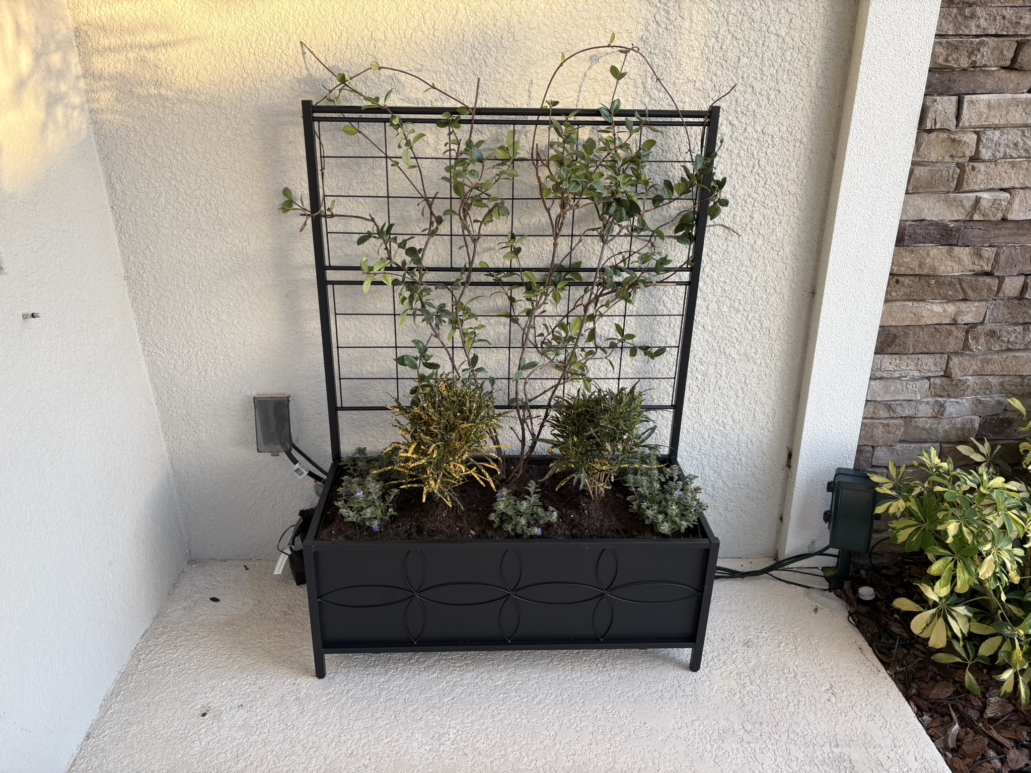 Zhongma raised garden bed already planted