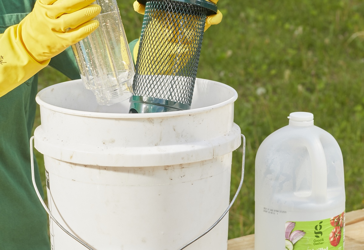 Woman wearing rubber gloves dunks bird feeder parts into a white 5-gallon bucket, a jug of vinegar nearby.