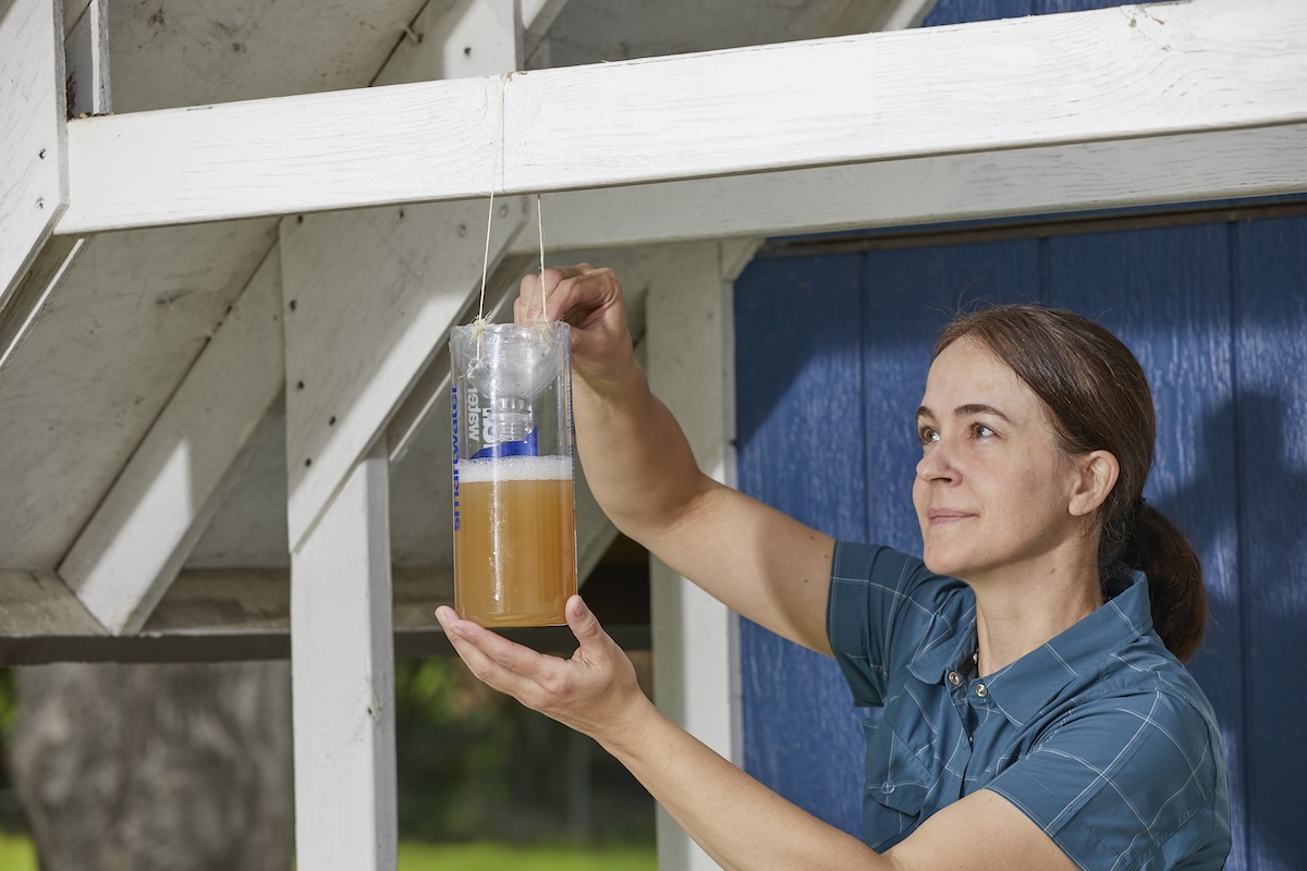Woman hangs DIY wasp trap filled with apple sider vinegar from an outdoor post.