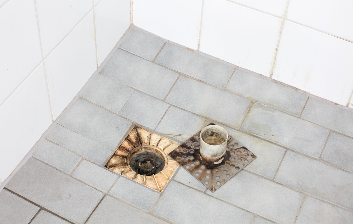 The cap to a shower drain lays outside the plumbing and appears to be moldy.