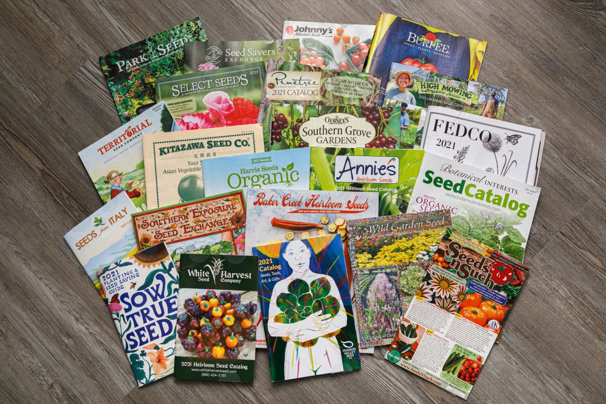Seed catalogs from a variety of companies advertising their products.
