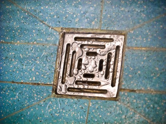 A wet shower drain in a shower with turquoise tile.