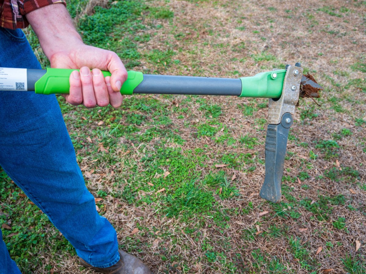 A person holding GrootPow Weeder
