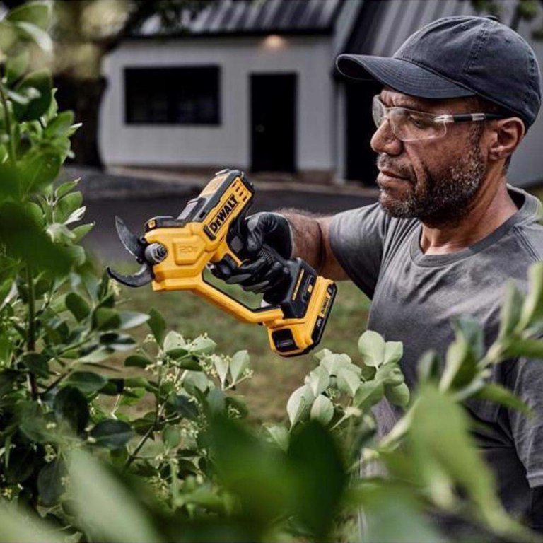 Ace DeWalt BOGO Dewalt 20V MAX Cordless Pruner