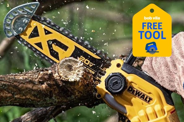 Ace Hardware Is Giving Away Free DeWalt Tools Ahead of Spring—Score a Free Saw, Trimmer, or Pruner
