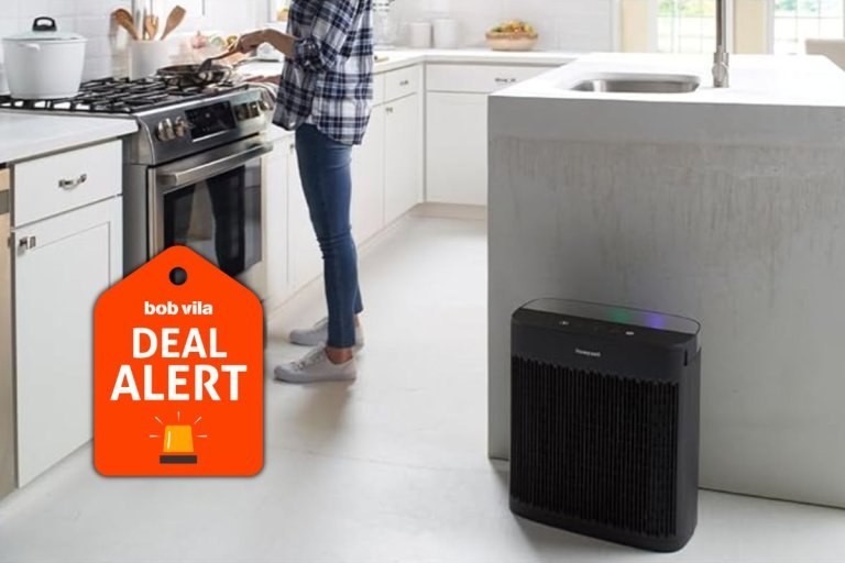 Amazon Is Clearing Out Air Purifiers Ahead of Allergy Season—Save Up to 72% Off Blueair, Levoit, Shark, and More