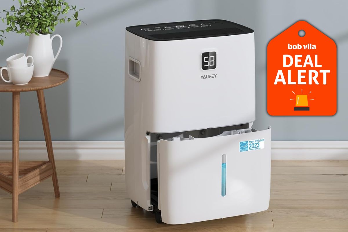Amazon Just Dropped Dehumidifier Prices Up to 40% Off Ahead of Its Big Spring Sale