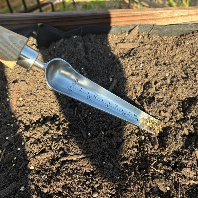 Berry & Bird Seeding Widger