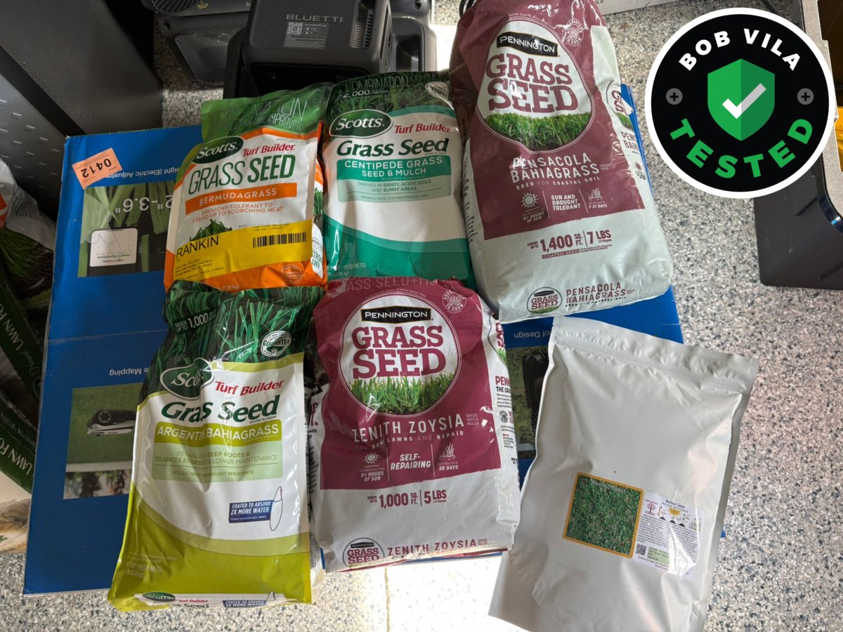 Best Grass Seeds Featured