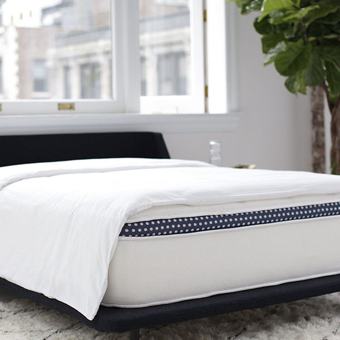 Best Mattress Brands WinkBeds