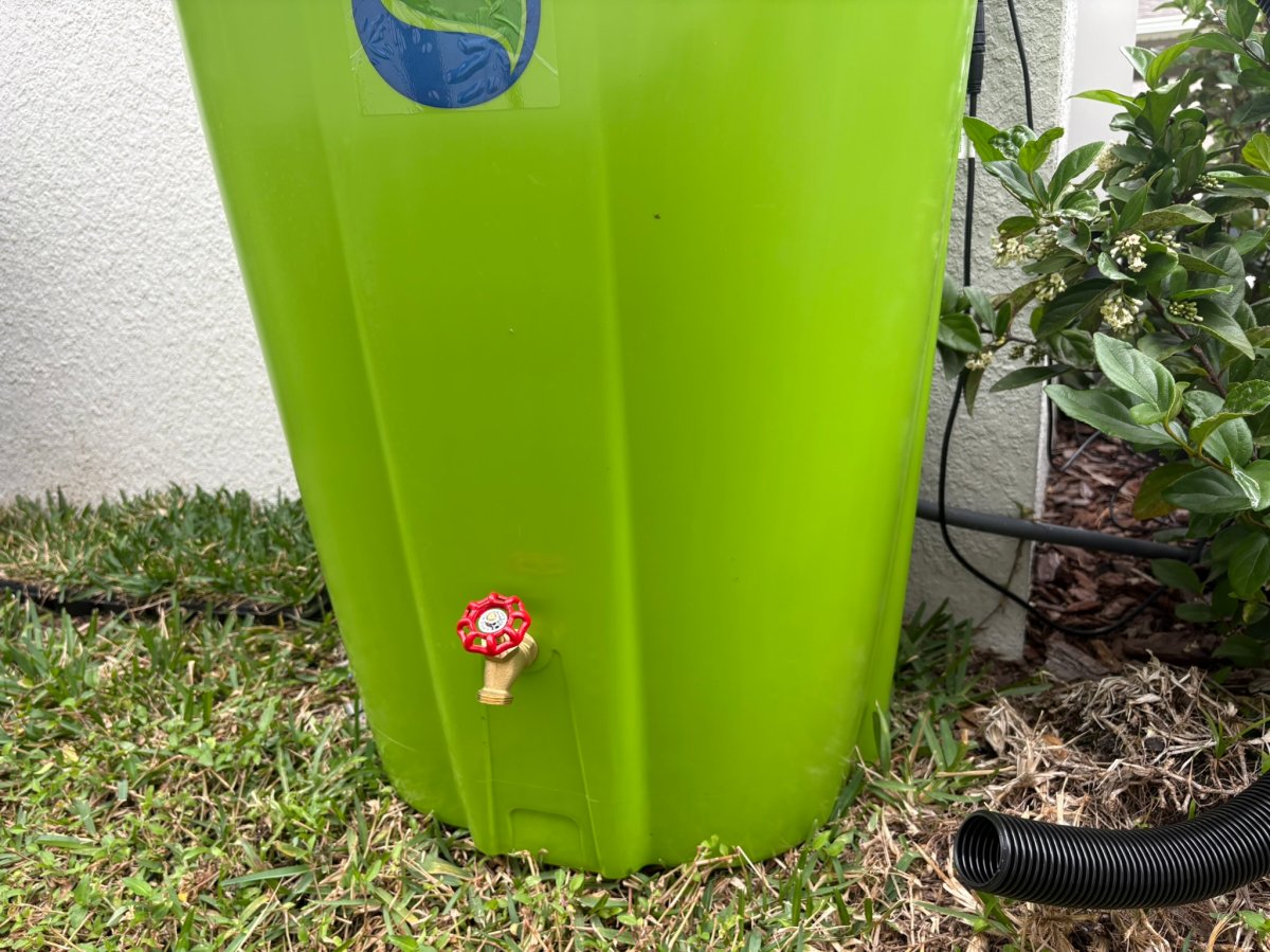 FreeGarden Rain 55-Gallon Rain Barrel