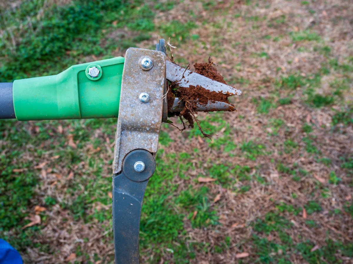 GrootPow Weeder with soil