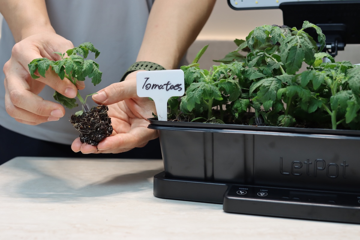 5 Seed-Starting Mistakes Most New Gardeners Make—and How to Avoid Them