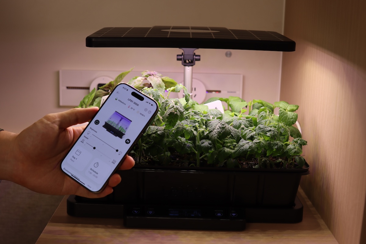 A DIYer checking the light and temperature settings for a new LetPot seed starter kit.