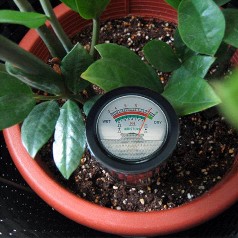 Lawn and Garden Tentpole Awards Gain Express ZD-06 Soil pH Meter