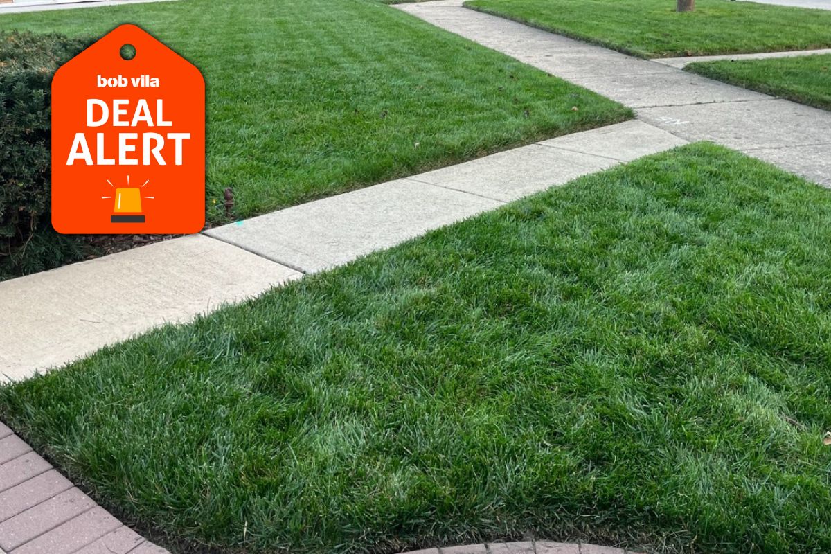 This New Pet-Safe Pest Barrier Just Dropped 25% Off Ahead of Spring—Plus an Extra 10% Off for New Lawnbright Customers