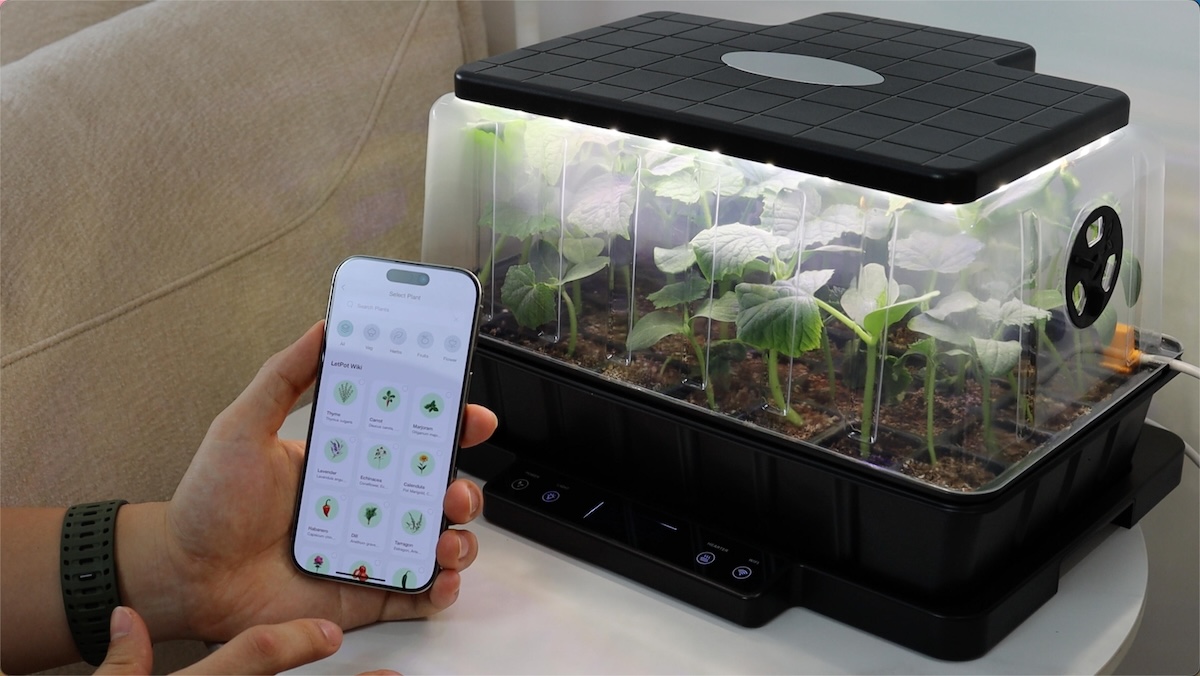 A DIYer monitoring plant settings for seedlings.