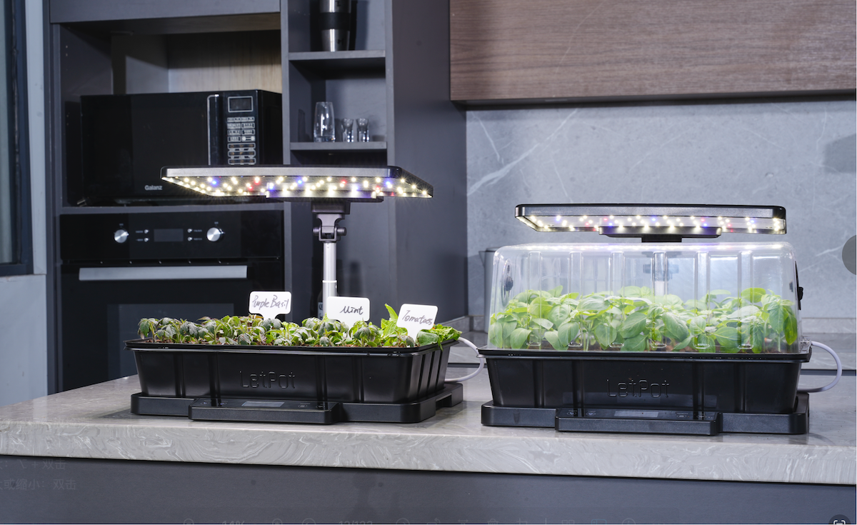 Two LetPot seed starting kits on a kitchen counter.