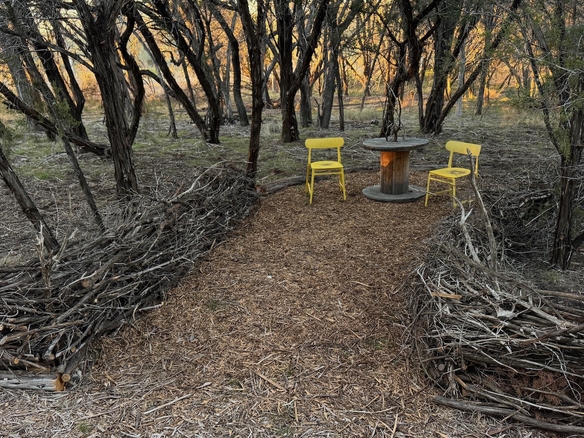 Dead hedges lining a trail with a sitting area in the center.