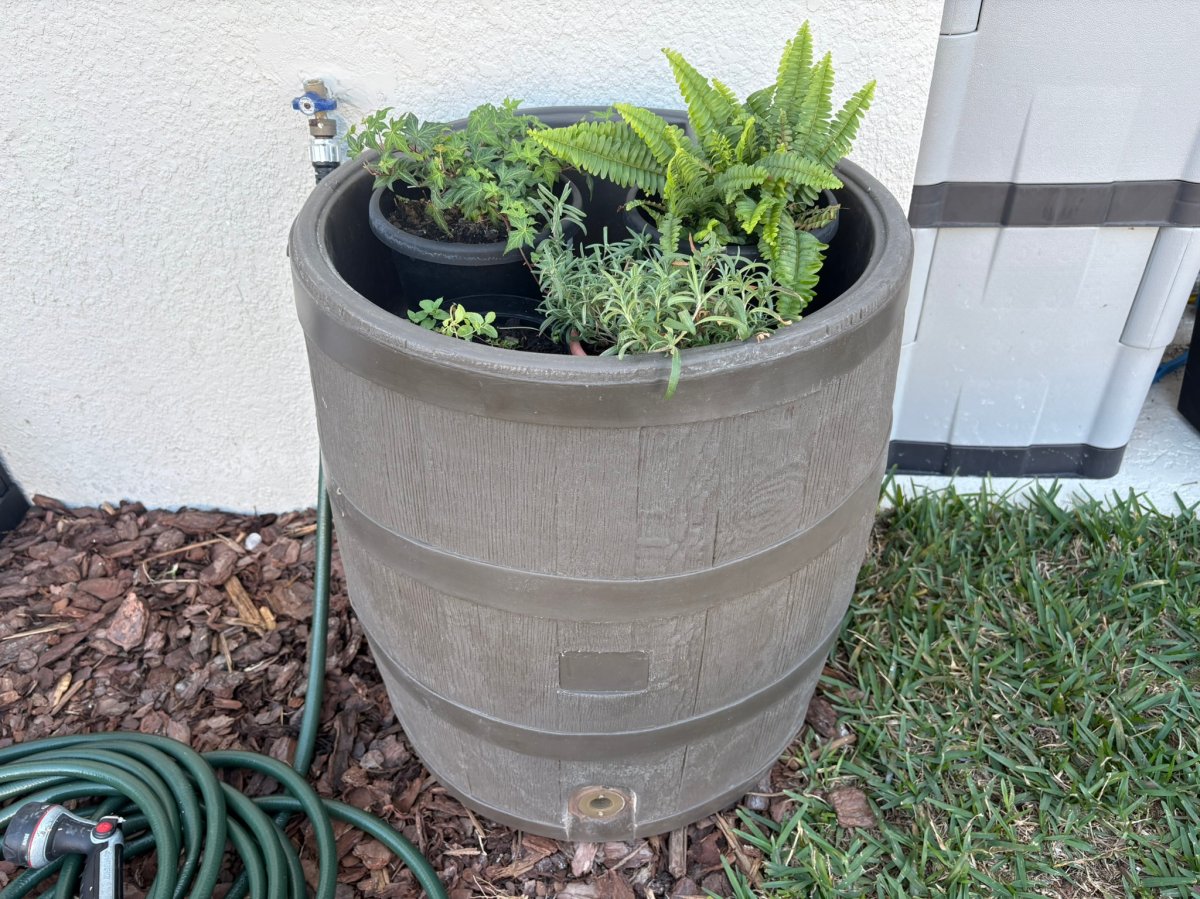 RTS Home Accents 35-Gallon Rain Barrel with planter 